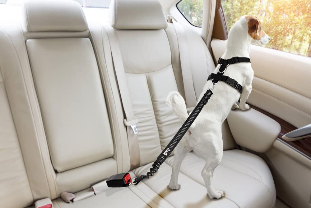 Arnés de coche para perro con correa, ajustable, malla transpirable, con cinturón de seguridad, talla L, negro