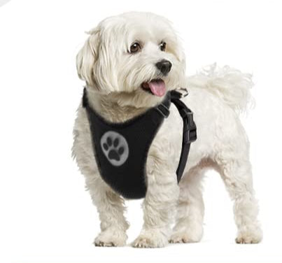 Arnés de coche para perro con correa, ajustable, malla transpirable, con cinturón de seguridad, talla L, negro